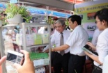 Đột phá trong sản xuất lúa gạo nhờ KHCN